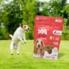 Fresh Baked Eggs and Bacon Soft Dog Chew Treats (2-Pack) - Image 3